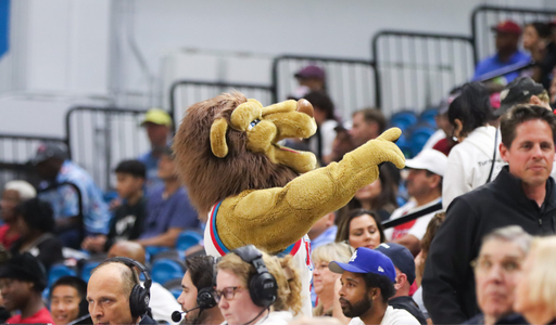 Iggy the mascot at an athletics game